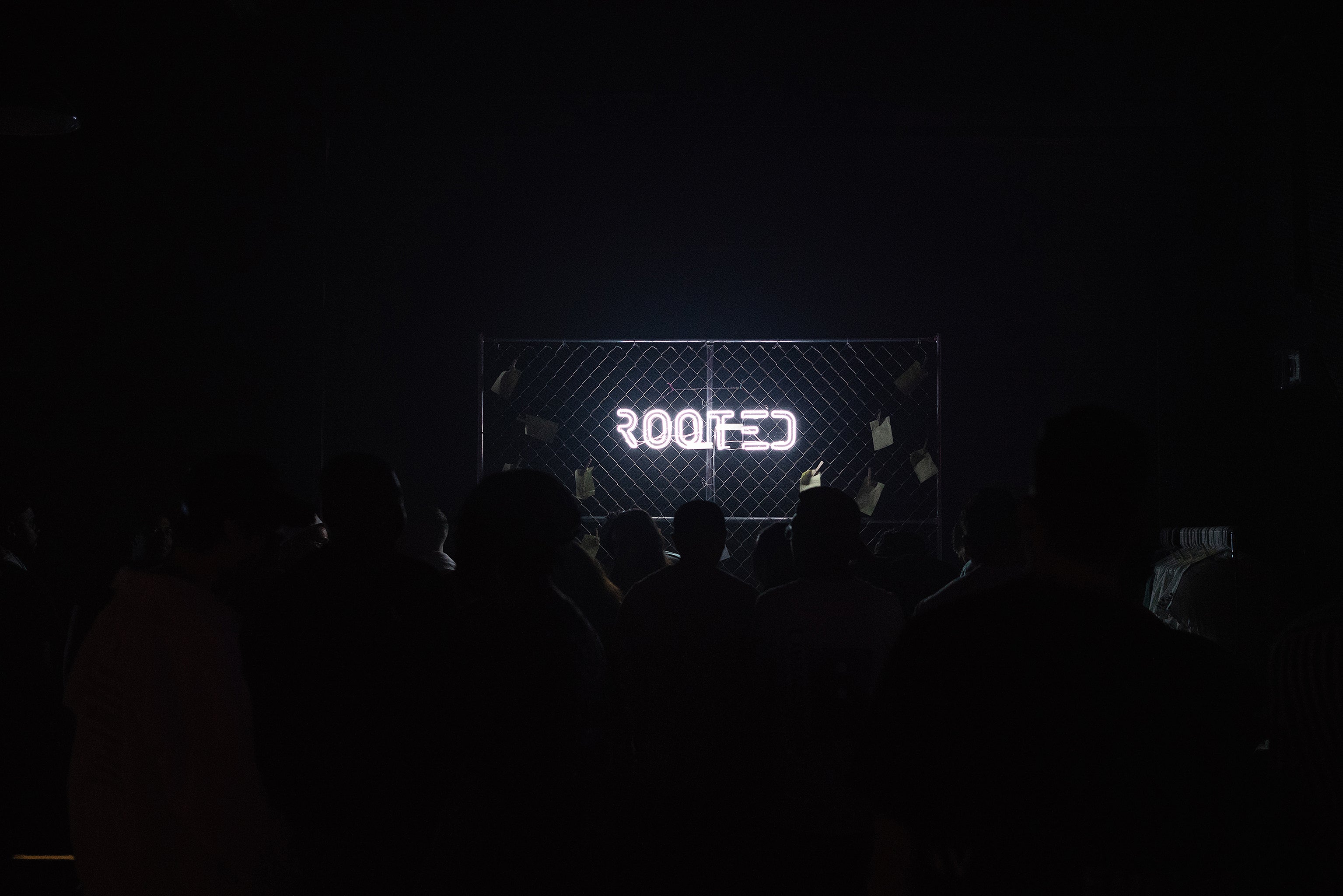 The Rooted Design Experience Recap — Red Bull Presents The Underflow
