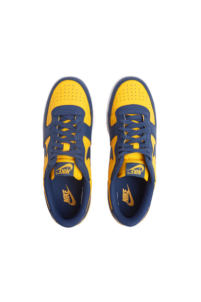 Nike Terminator Low 'Michigan' | ROOTED