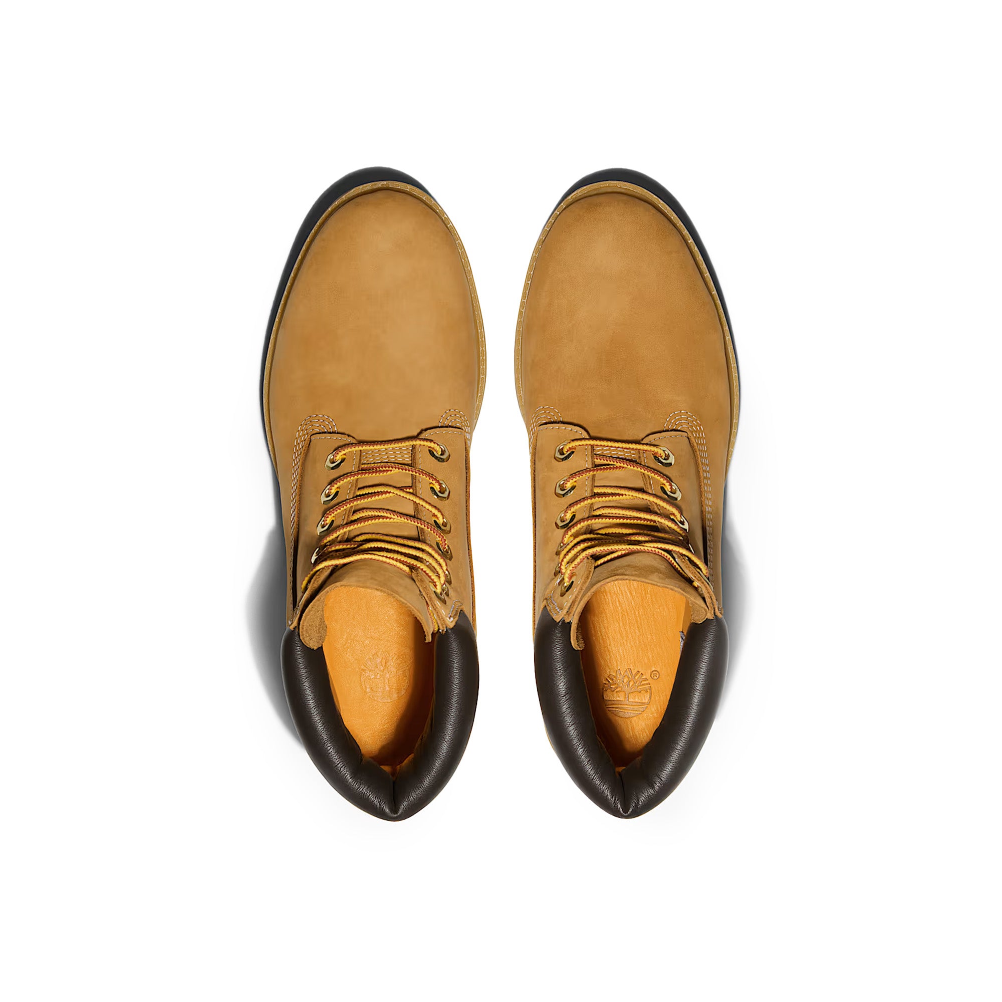 Timberland Premium 6" Waterproof Boot 'Wheat'