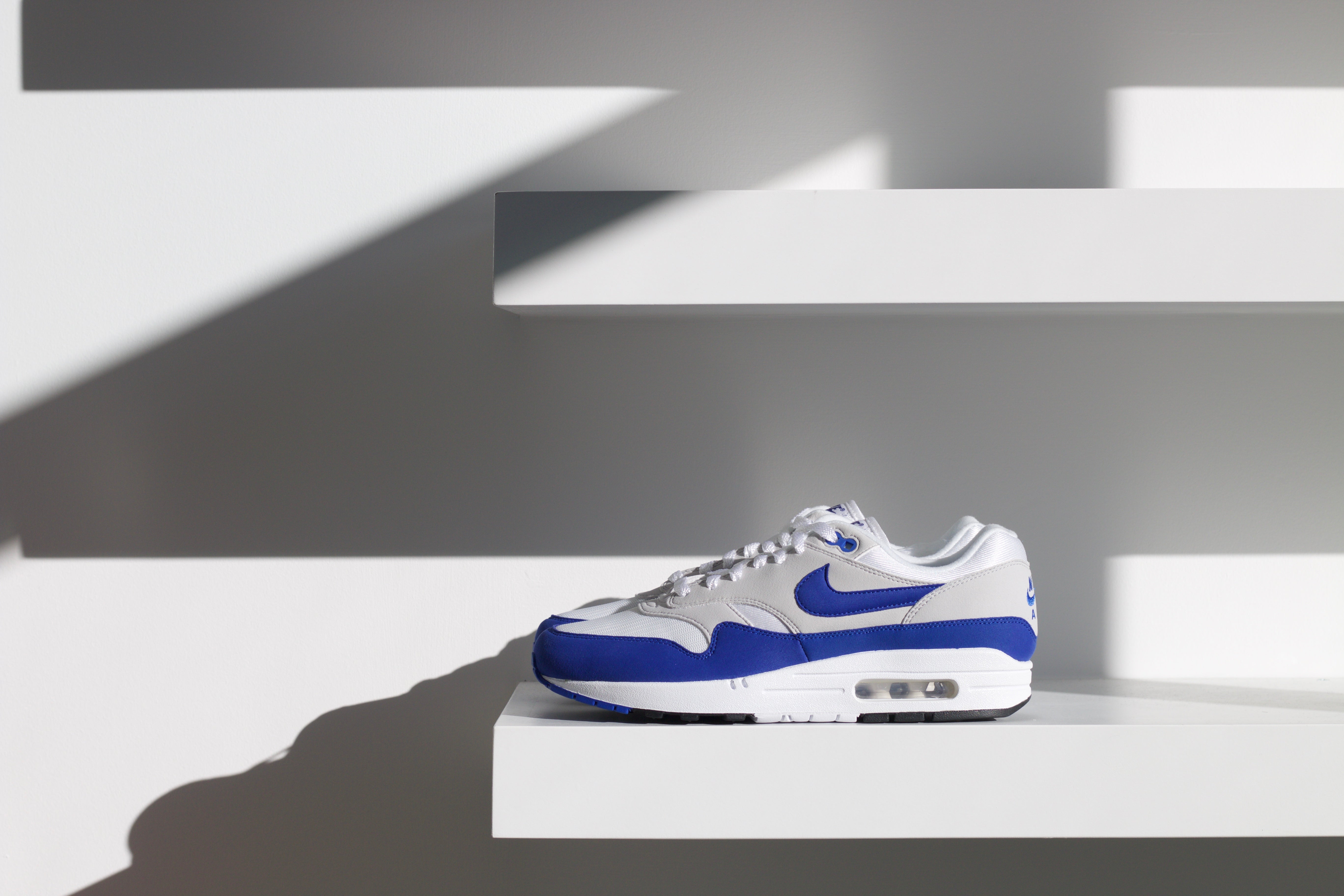 Nike Air Max 1 Anniversary "Royal" at ROOTED in Nashville