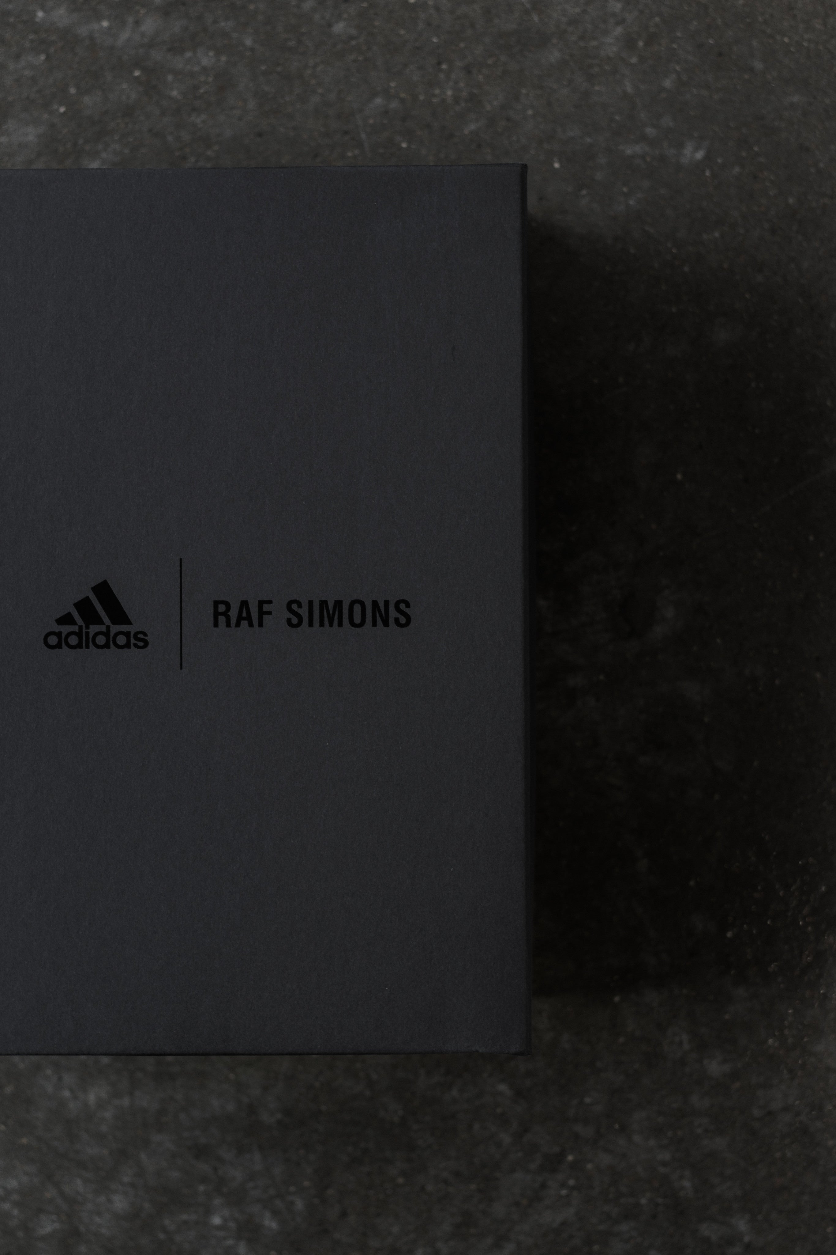 Introducing Adidas x Raf Simons