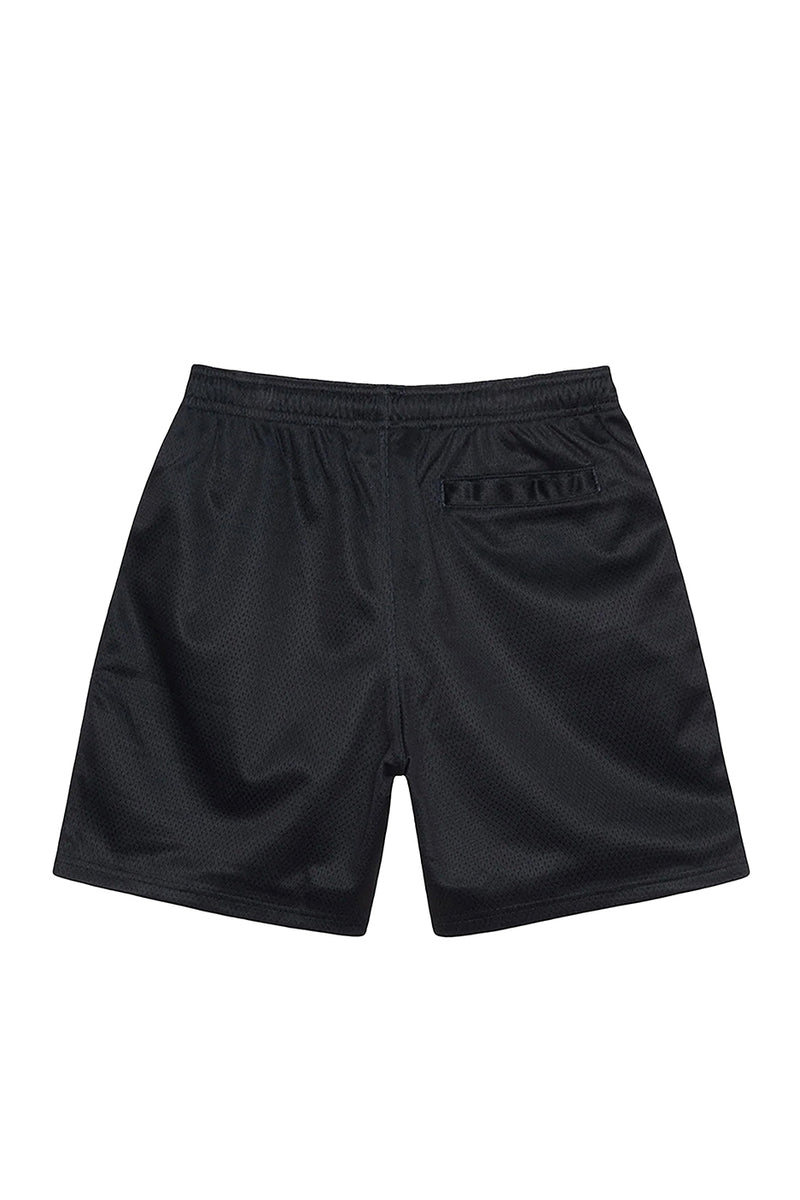 Stussy Mesh Big Basic Shorts 'Black'