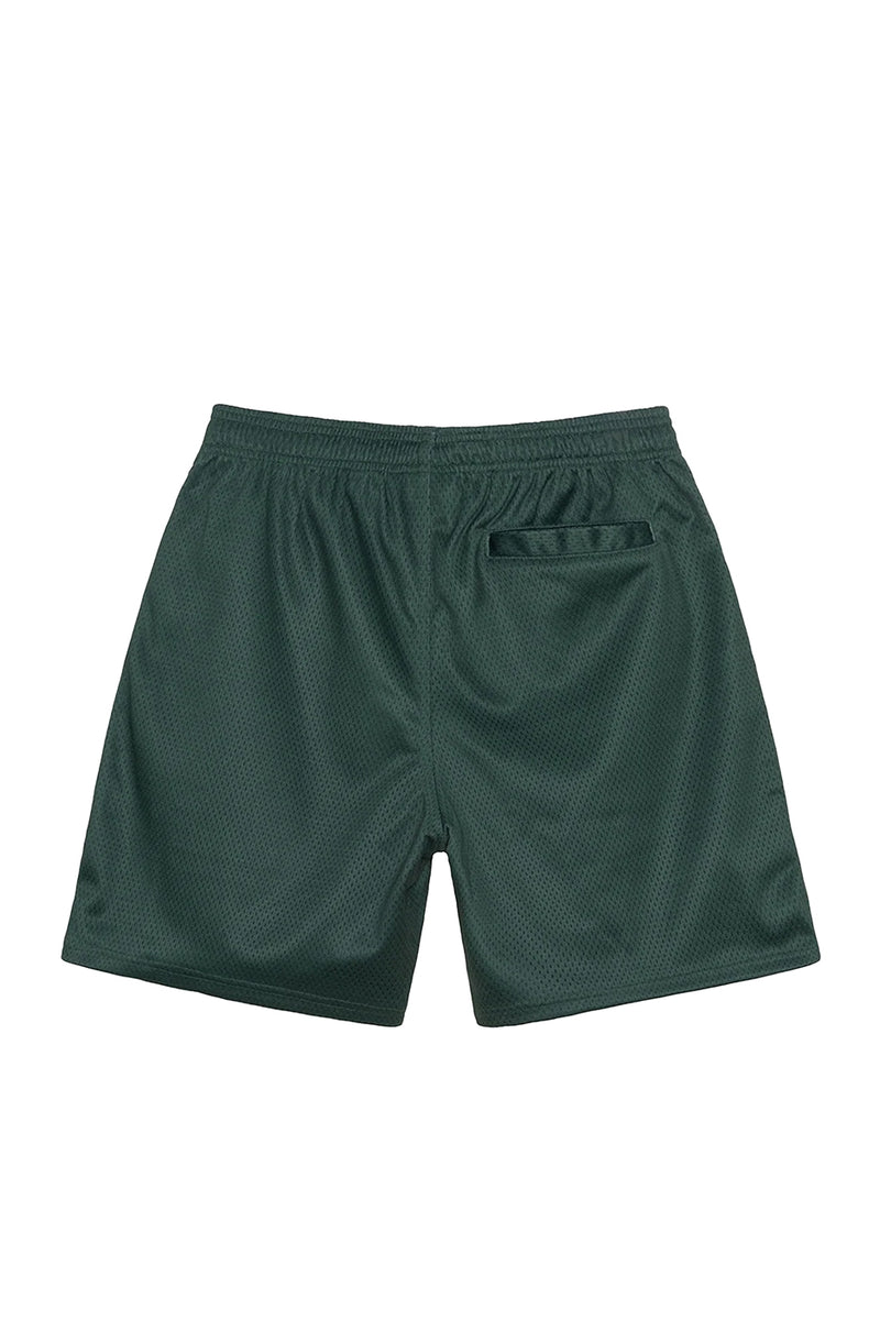 Stussy Mesh Big Basic Shorts 'Spruce'