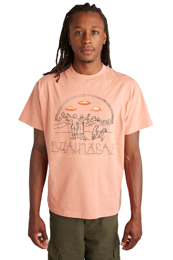 Brain Dead Pastoral Encounters Tee 'Dusty Rose' - ROOTED