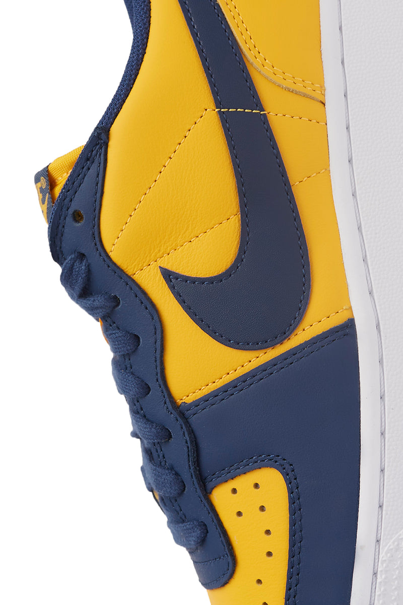 Nike Terminator Low 'Michigan' | ROOTED