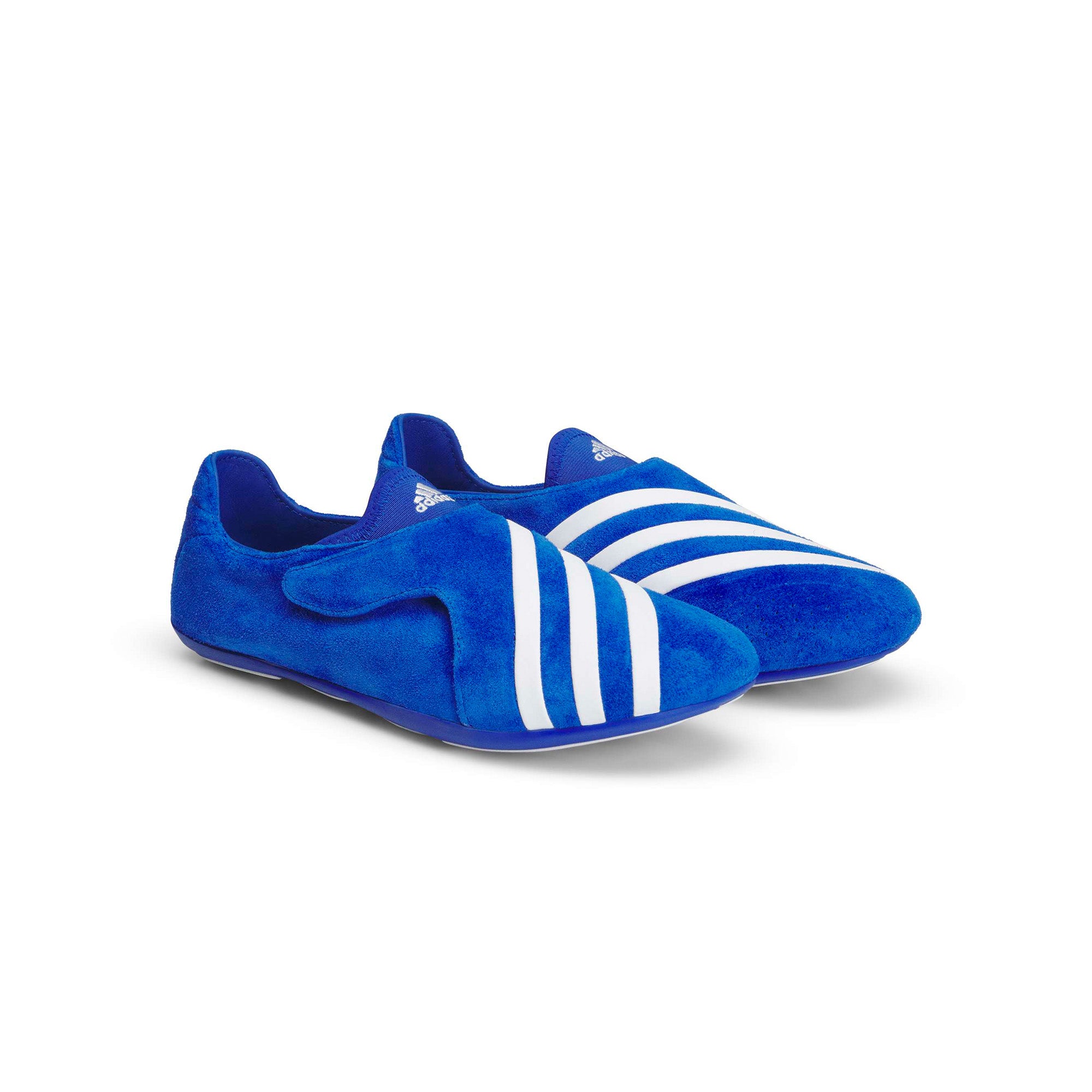adidas x PW Vario Flat Earther 'Blue/White' - ROOTED